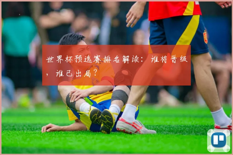 世界杯预选赛排名解读:谁将晋级,谁已出局?